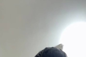 诈骗嫌疑人袁涛