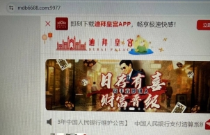 迪拜皇宫 ，存款游戏 ，提款就说随机抽查