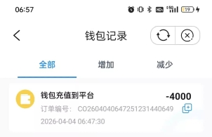 钱能钱包被盗16000