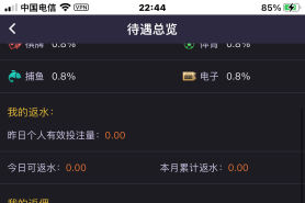 金洋6中奖吃单子，代理艾辰不负责