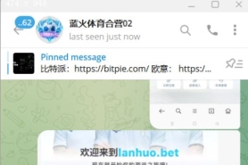 蓝火体育